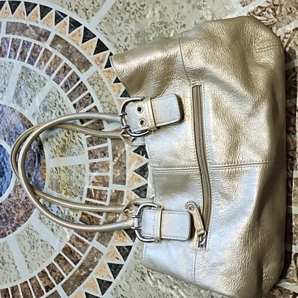 Tignanello (leather purse)